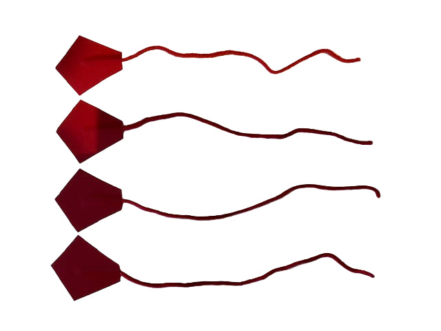 Close-up view of self-adhesive sail tell tales showing arrow-shaped mounting pads port